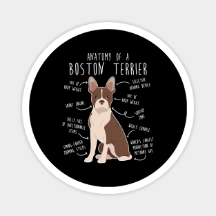 Seal Boston Terrier Dog Anatomy Magnet